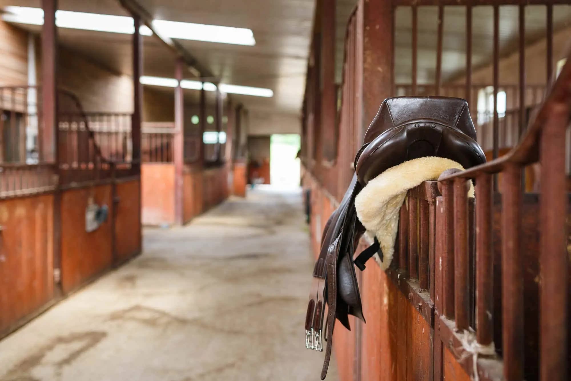 Hintergrundbild: stable